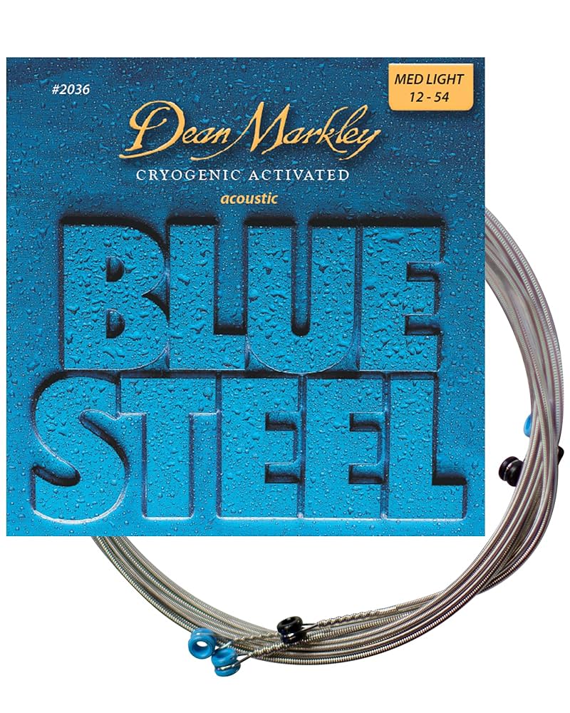 Amazon.co.jp: DEAN MARKLEY ディーン マークレイ